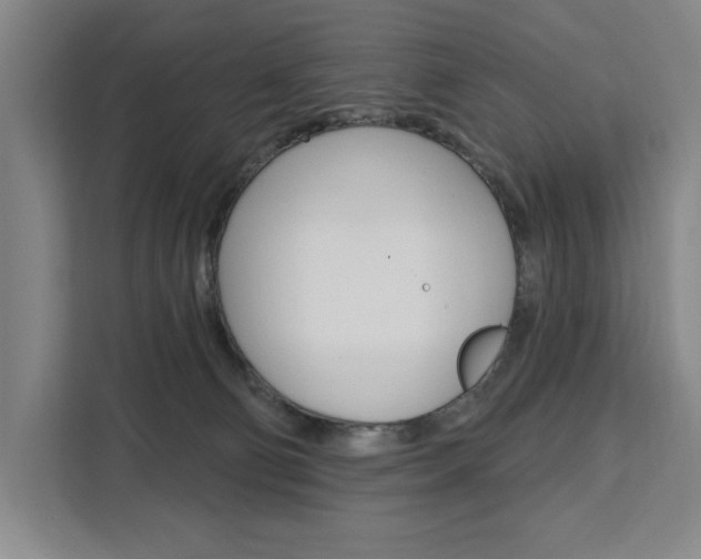 X0000111460130200907131226