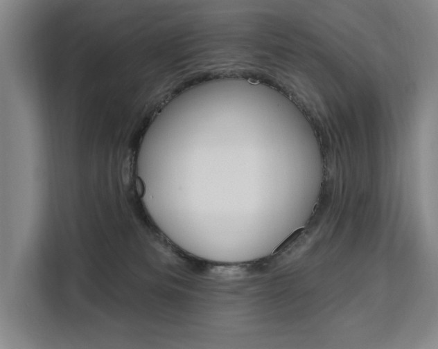 X0000111460133200907131226