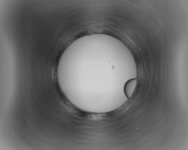 X0000111460134200907131226
