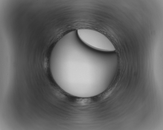 X0000111460135200907131226