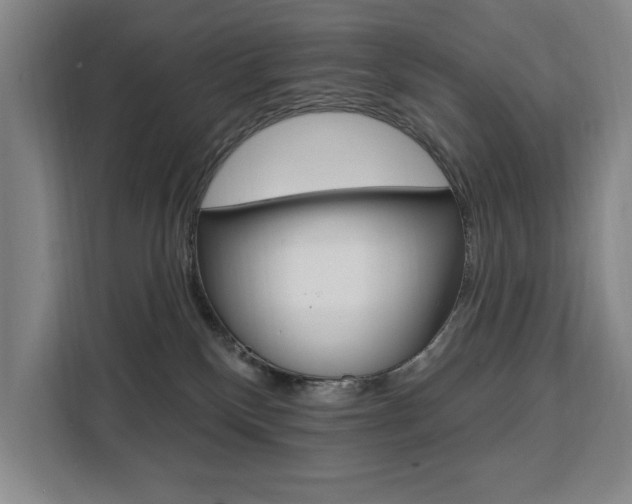 X0000111460136200907131226