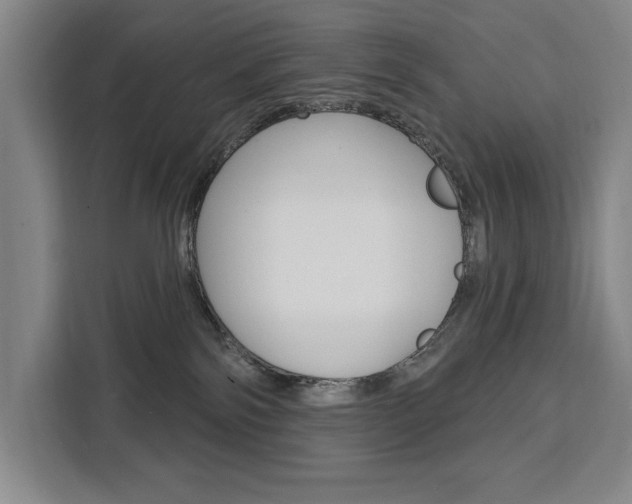 X0000111460138200907131225
