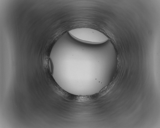 X0000111460141200907131225