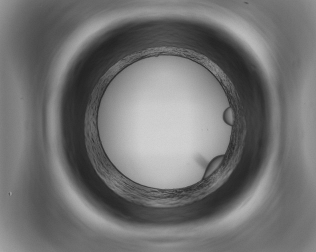 X0000111460142200907131225