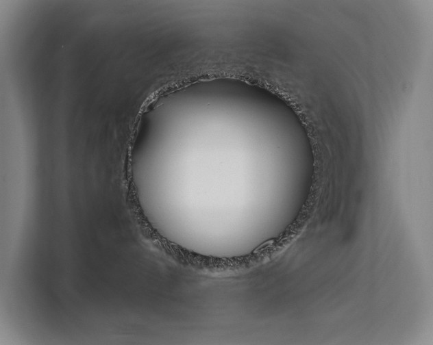 X0000111460144200907131225