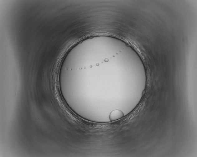 X0000111460145200907131225