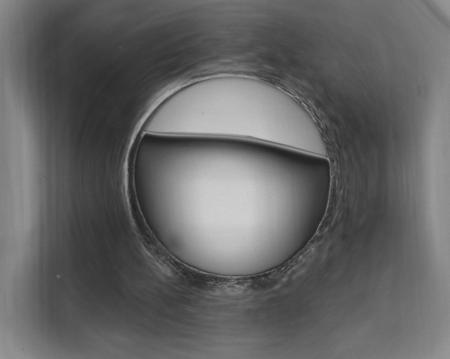 X0000111460148200907131225