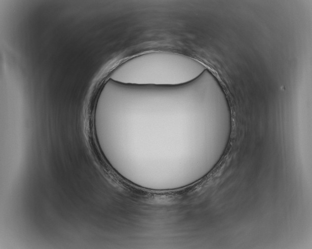 X0000111460149200907131225