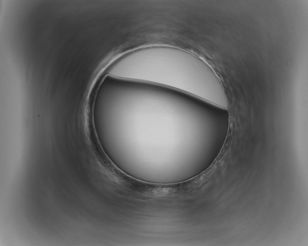 X0000111460152200907131225