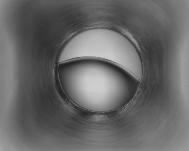 X0000111460154200907131225