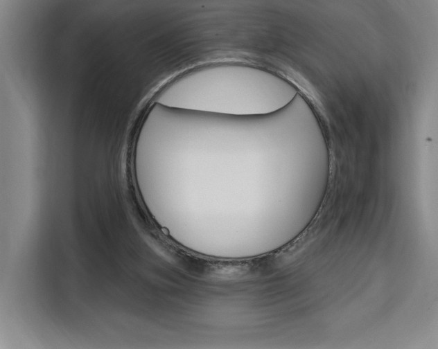 X0000111460155200907131225