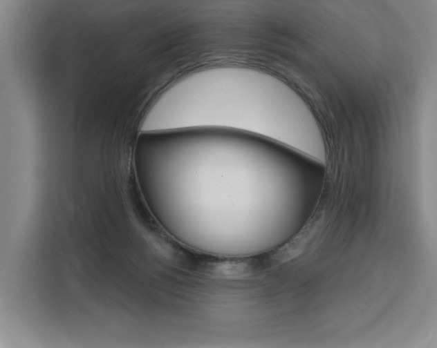 X0000111460168200907131225