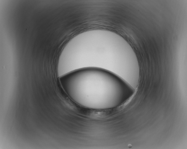 X0000111460174200907131225