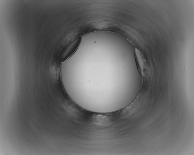 X0000111460180200907131225