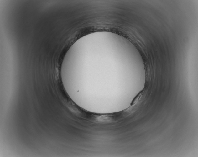 X0000111460183200907131225
