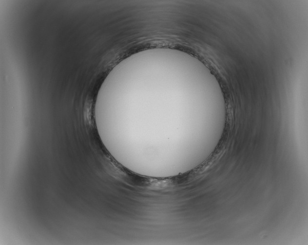 X0000111460185200907131225
