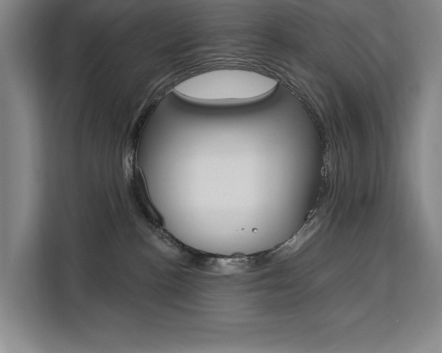 X0000111460188200907131225