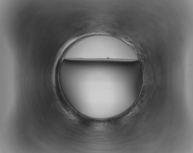 X0000111460200200907131225