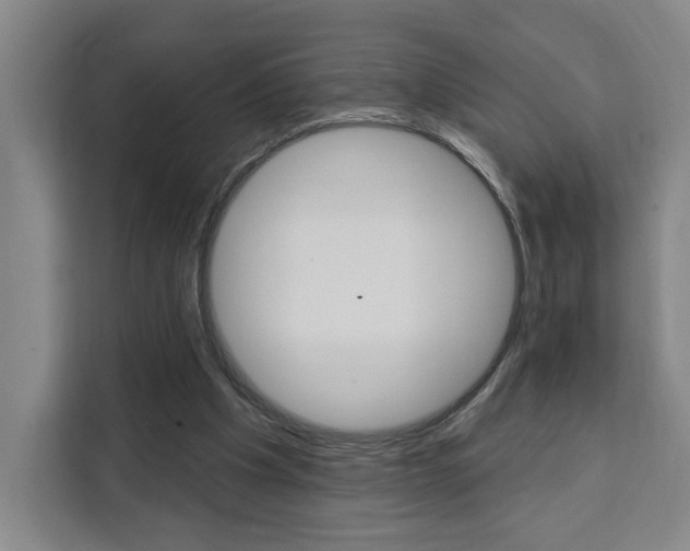 X0000111460201200907131225