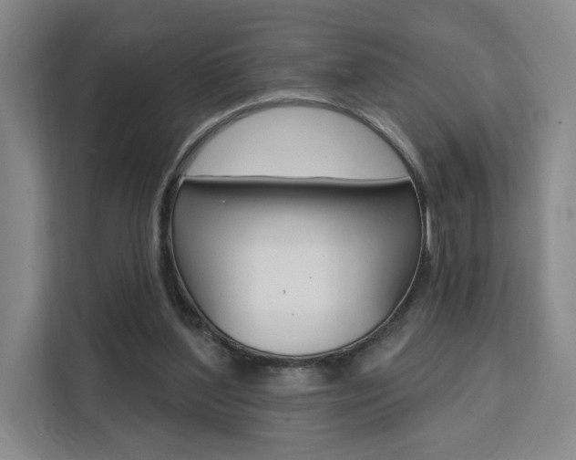 X0000111460204200907131225