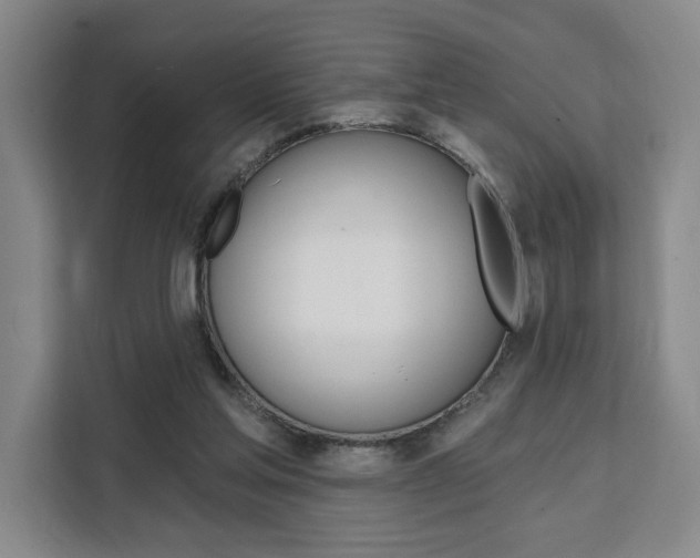 X0000111460205200907131225
