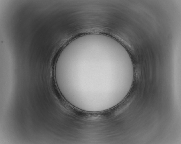X0000111460206200907131225
