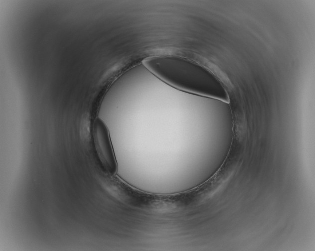 X0000111460207200907131225