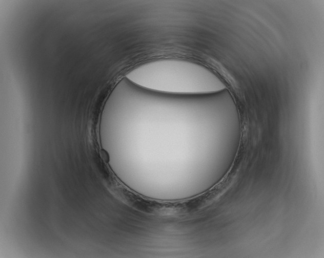 X0000111460209200907131225