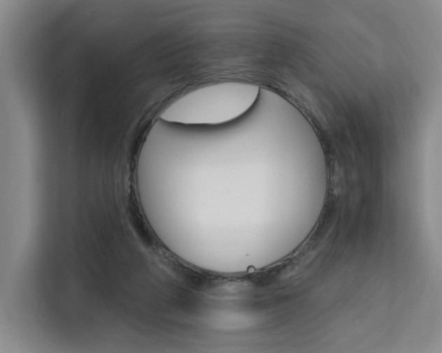 X0000111460210200907131225