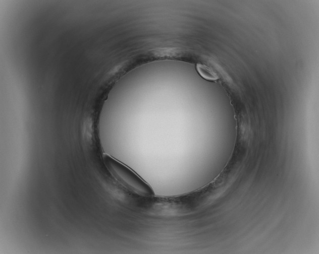 X0000111460211200907131225