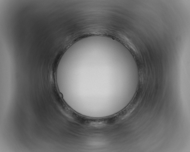 X0000111460213200907131225