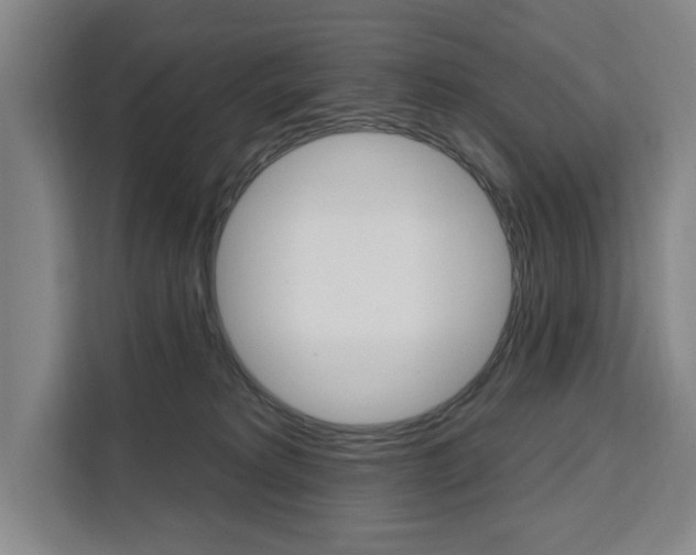 X0000111460229200907131224