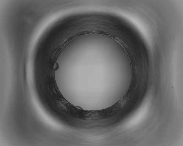 X0000111460239200907131224