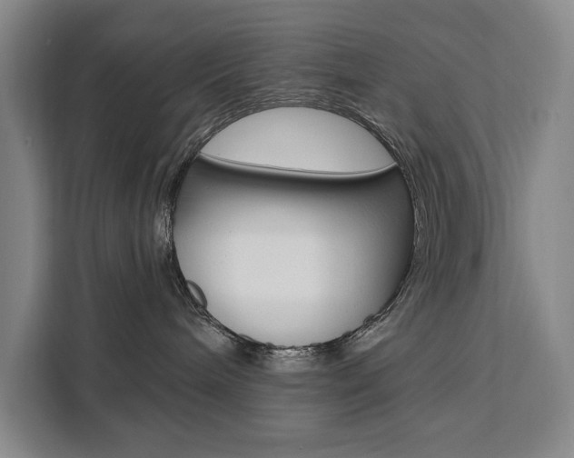 X0000111460240200907131224