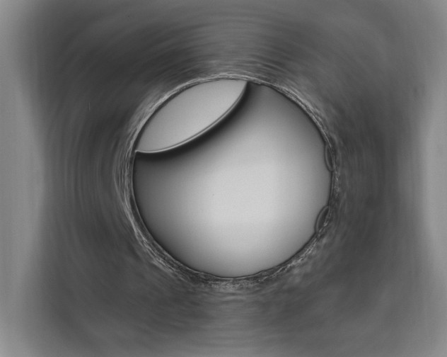X0000111460241200907131224