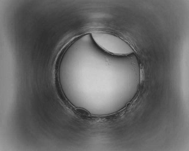 X0000111460243200907131224