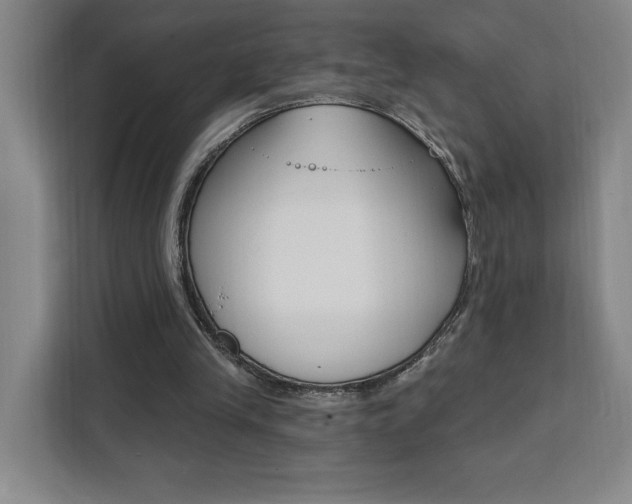 X0000111460245200907131224
