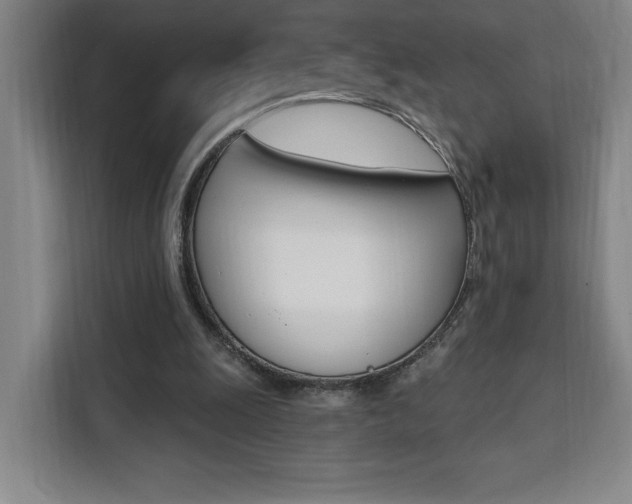 X0000111460247200907131224