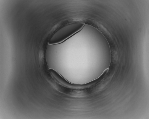 X0000111460260200907131224
