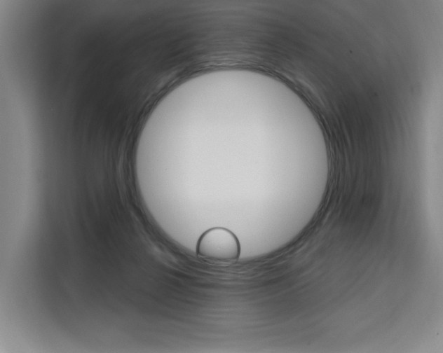 X0000111460264200907131224