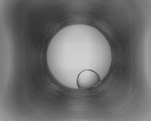 X0000111460268200907131224