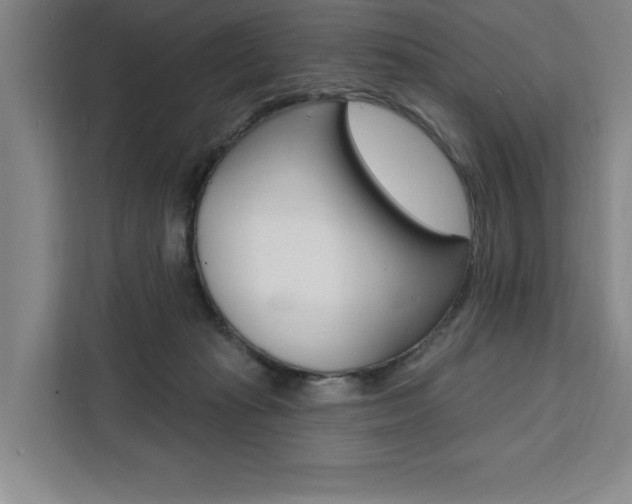 X0000111460269200907131224