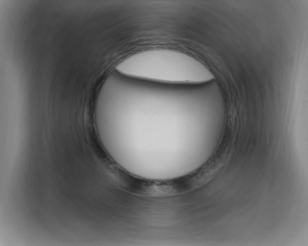 X0000111460270200907131224