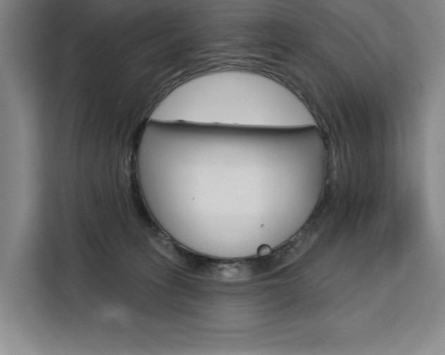 X0000111460275200907131224
