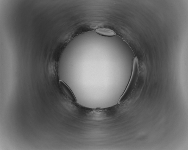 X0000111460280200907131224