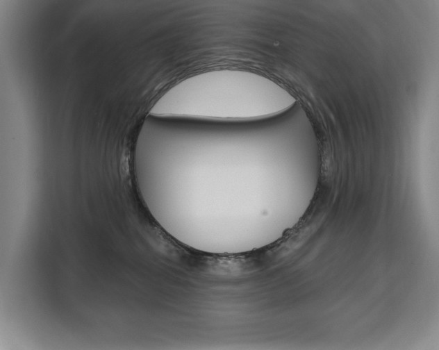 X0000111460282200907131224