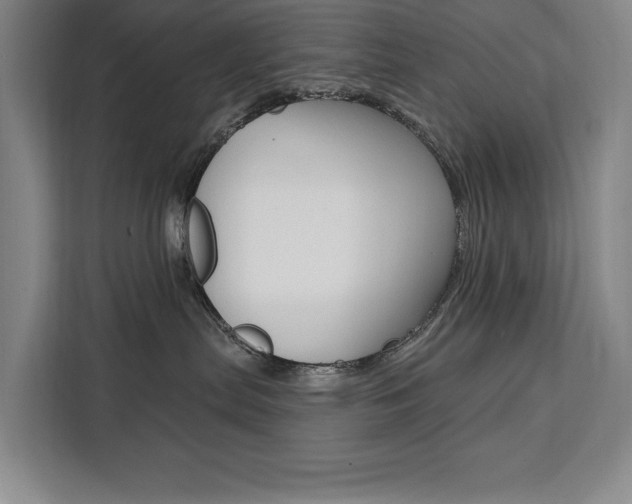 X0000111460287200907131224