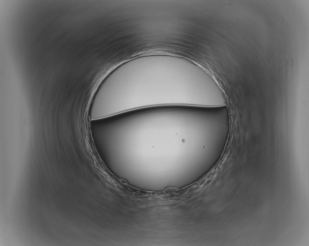 X0000111460289200907131224
