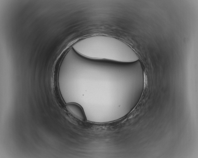 X0000111460291200907131223