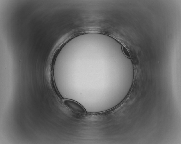X0000111460293200907131223